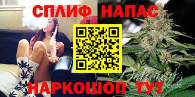 сатива Нягань
