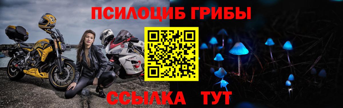 Псилоцибиновые грибы мицелий  Вход с VPN  Киреевск 